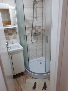 斯拉沃尼亚布罗德Apartman ANA的带淋浴和盥洗盆的浴室