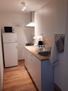斯拉沃尼亚布罗德Apartman ANA的一间带水槽和冰箱的小厨房