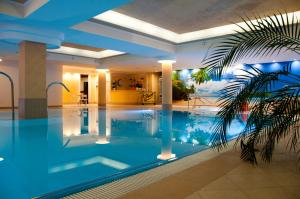 博古舒夫-戈尔采彼得Spa加康体酒店的棕榈树酒店的一个游泳池