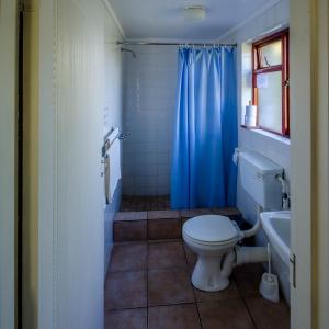 赫曼努斯The Volmoed Trust的浴室设有卫生间和蓝色的浴帘。