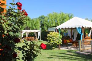 圣拉斐尔Cabañas El Naranjo的花园设有凉亭、椅子和玫瑰