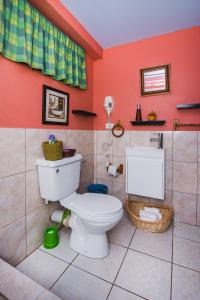 Saint JosephThe Valley Oasis Inn的一间带卫生间和红色墙壁的浴室