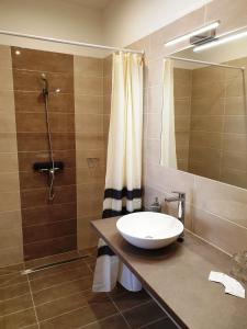 凯奇凯梅特Mediterrán Villa Kecskemét的一间带水槽和淋浴的浴室