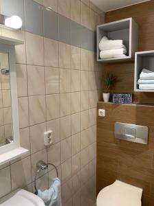 FellKirchstraße 71的浴室配有卫生间、水槽和毛巾。