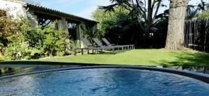 圣马丹德雷克洛斯圣马丁温泉酒店的一个带椅子和一棵树的庭院内的游泳池
