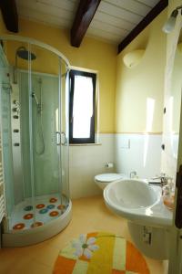 SantʼOmeroIl Casale Dei Ciliegi的带淋浴、盥洗盆和卫生间的浴室