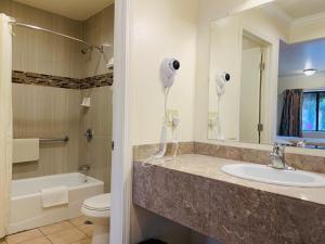 蒙特雷蒙特利海滨旅馆的一间带水槽、卫生间和镜子的浴室