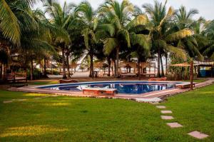 Barra Vieja班布达中心霍利斯提科旅馆的棕榈树庭院内的游泳池