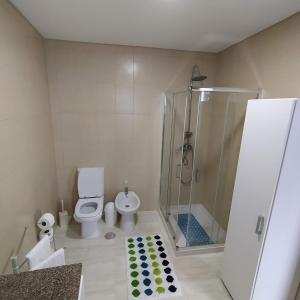 蓬塔德尔加达Helena's House的带淋浴、卫生间和玻璃淋浴间的浴室