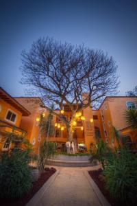 柔蔲科派克艾尔尚特温泉酒店的前面有一棵树的大建筑