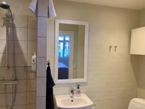 里伯Ribe Sønderport Bed & Kitchen的浴室配有盥洗盆和带镜子的淋浴