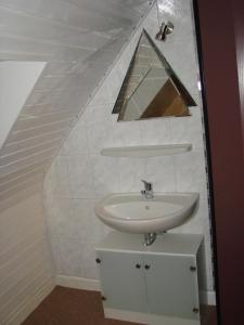 巴登-巴登盖斯特豪斯艾利克斯纳酒店的一间带水槽和镜子的浴室