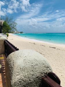 布里奇敦Beach Vue Barbados的相册照片