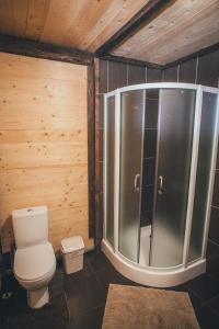 布克维Шале "Конопка"的一间带卫生间和淋浴的浴室