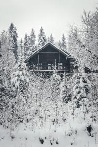 布克维Шале "Конопка"的树前的小屋被雪覆盖