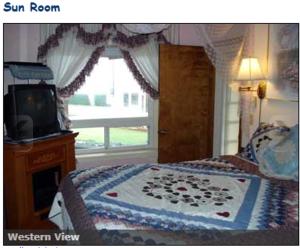 林肯市Breyhouse B&B的一间卧室设有一张床、一台电视和一个窗口。