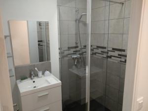 图尔Nouveau! Appartement 80m2 tout neuf avec 3 belles chambres的带淋浴和盥洗盆的浴室