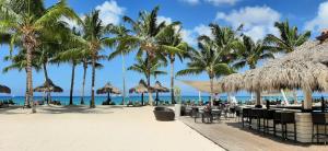 巴亚希贝Appartamento Cadaques Bayahibe的海滩上设有椅子和遮阳伞,棕榈树