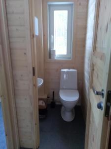 考克西考斯普克马加度假屋的一间带卫生间和水槽的小浴室