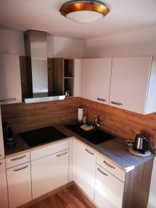 因斯布鲁克Stauders Zimmer und Ferienwohnungen的厨房配有白色橱柜和水槽