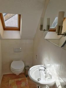 贝岑施泰因Ferienwohnung Burgblick的白色的浴室设有卫生间和水槽。