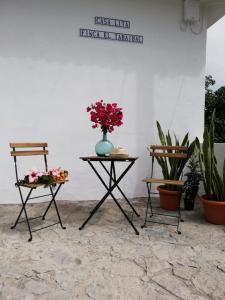 埃尔米瓜Casa Lita的一张桌子,上面有花瓶,旁边是两把椅子
