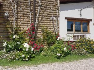 塔尔奎尼亚Agriturismo Podere Farnesiana的一座房子前面有鲜花