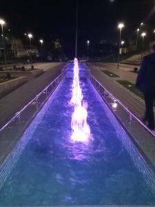 新瓦罗什Smeštaj Zlatar Arena的夜间水里有一个狗的喷泉