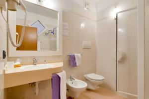 圣米凯莱亚拉迪杰阿菲塔卡米莉拉费拉塔旅馆的一间带水槽、卫生间和淋浴的浴室