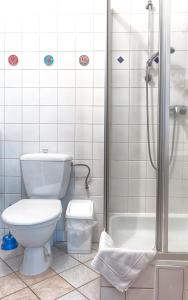 米奥维Penzion Gaudeamus的一间带卫生间和淋浴的浴室