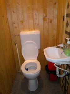 CumpănaCabana Dara的浴室配有白色卫生间和盥洗盆。