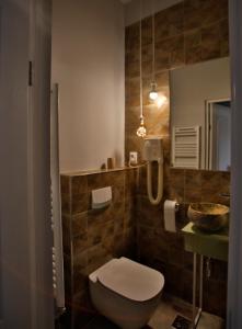 克卢日-纳波卡Vila Vidalis的一间带卫生间、水槽和镜子的浴室