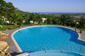 埃斯塔蒂特Apartamentos Torrevella的一个种有棕榈树的大型蓝色游泳池