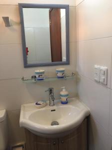 拉帕洛马La Ranita Negra的一间带水槽和镜子的浴室