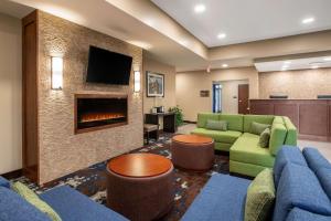 埃姆斯Comfort Inn and Suites Ames near ISU Campus的带沙发和壁炉的客厅