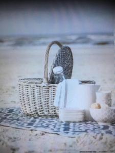 埃贝尔托夫特Ebeltoft的沙滩上一个篮子