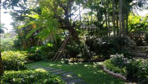 清迈维昂塔佩度假酒店- SHA Extra Plus的种有树和植物的花园