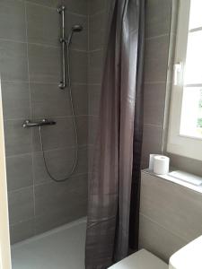 蒙绍Maison Riviére的带淋浴和浴帘的浴室