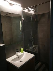 玛塔弗瑞德丰腴酒店及餐厅的浴室配有盥洗盆和带镜子的淋浴