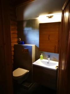 玛塔弗瑞德丰腴酒店及餐厅的一间带水槽和卫生间的小浴室