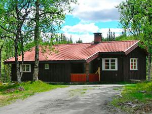 内斯比恩Three-Bedroom Holiday home in Nesbyen的一间黑色的小房子,有红色的屋顶