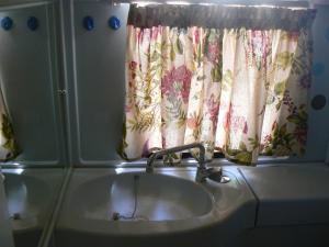 罗希姆诺伊丽莎白露营旅馆的浴室设有水槽和浴帘