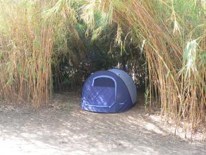 罗希姆诺伊丽莎白露营旅馆的蓝色帐篷,位于高大的草地上