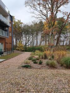 尤斯托尼莫斯基DWIE SOSNY-Apartament na wydmie - 365PAM的砖砌的走道,在一座树木繁茂的建筑前