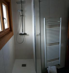 夏蒙尼-勃朗峰Appartement avec Terrasse的带窗户的浴室内的淋浴间