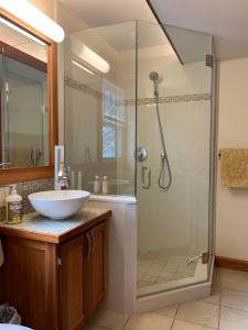 安娜堡Baxter House Bed & Breakfast and Apartment的一间带水槽和淋浴的浴室