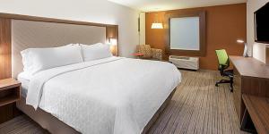 格林维尔Holiday Inn Express & Suites - Greenville - Taylors, an IHG Hotel的酒店客房设有一张大床和一张书桌。