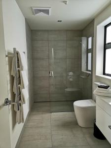 吉斯伯恩Waikanae Beach Ocean View Apartments的一间带卫生间和玻璃淋浴间的浴室