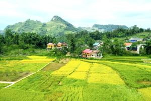 北河县Bac Ha Threeland homestay的享有田野和山脉的空中景色