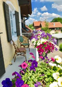 迪森阿姆阿梅尔塞Hotel Garni Goldammer的阳台拥有紫色和白色的鲜花和椅子
